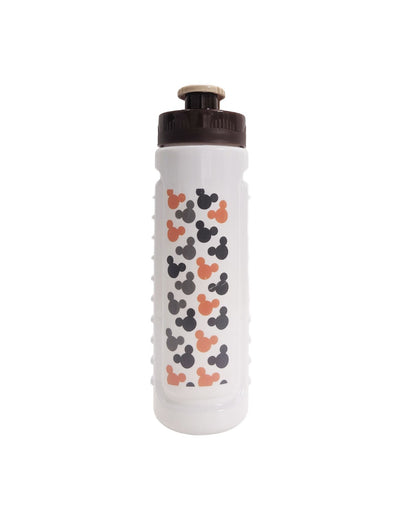 Rainbow water bottle - Pack of 1 (750 ML)